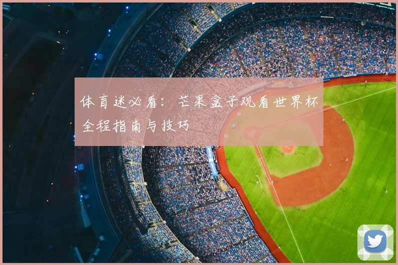 体育迷必看：芒果盒子观看世界杯全程指南与技巧