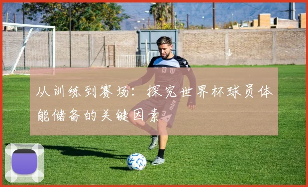 从训练到赛场：探究世界杯球员体能储备的关键因素