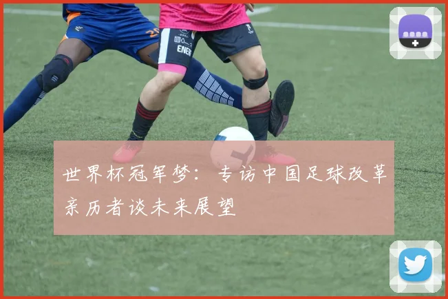 世界杯冠军梦:专访中国足球改革亲历者谈未来展望